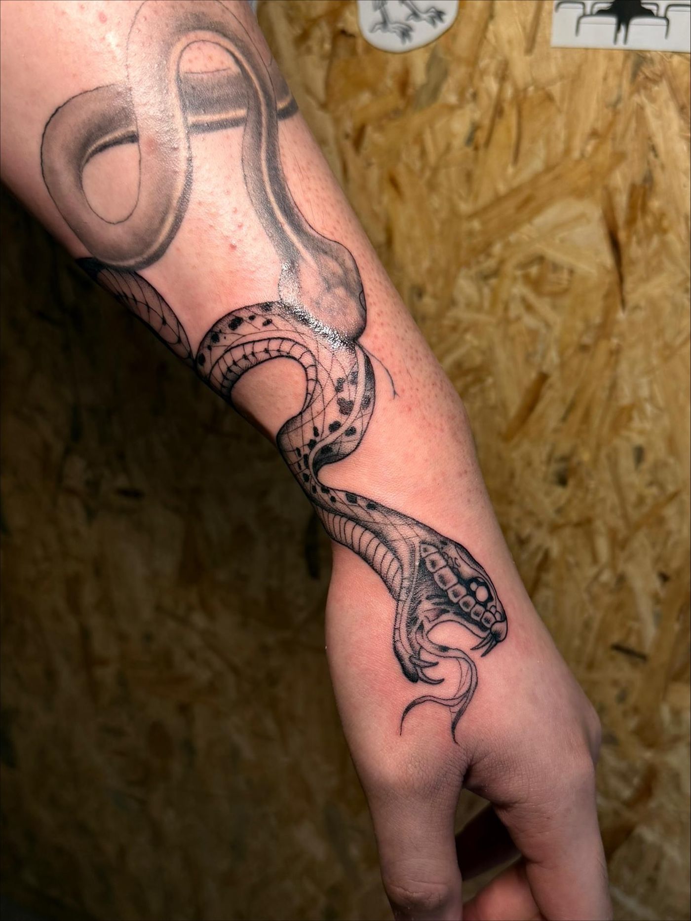 Artist: Jovi