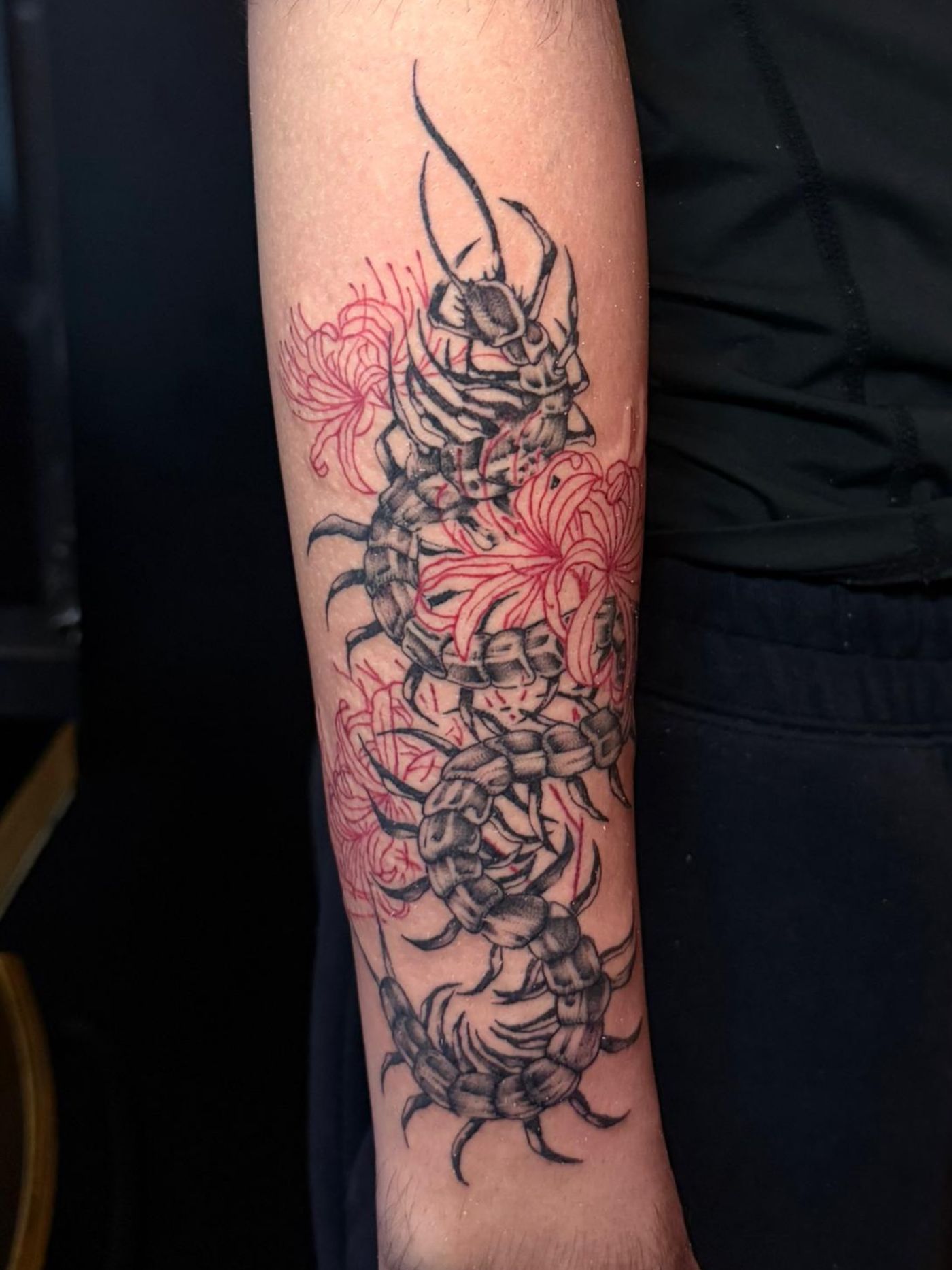 Artist: Jovi
