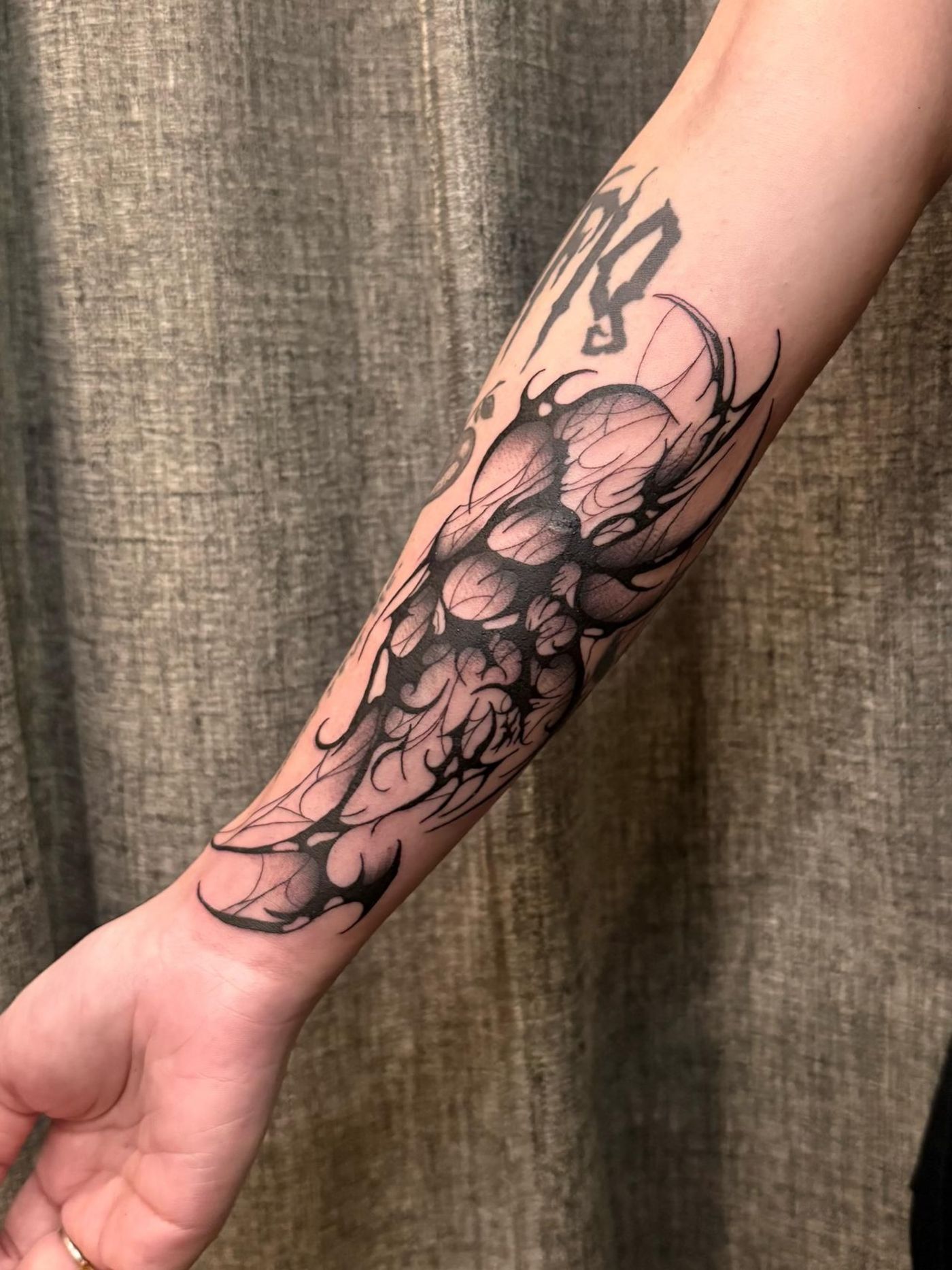 Artist: Jovi