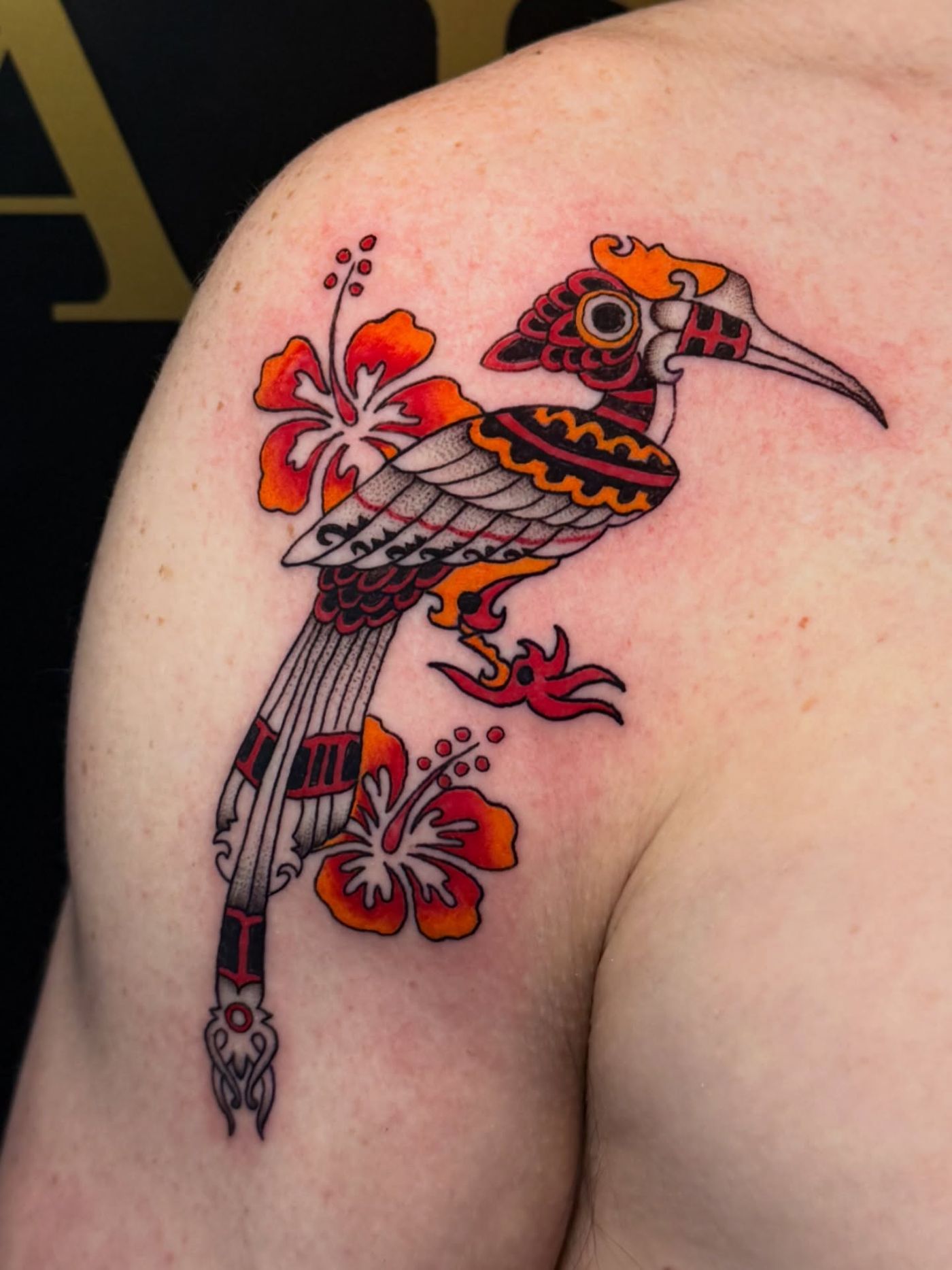 Artist: Jovi